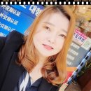 한나여행사 이미지