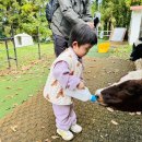 삼천목장 이미지