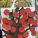 감사나무 이미지