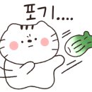 한우백년 이미지