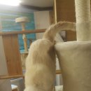 호텔엘린 이미지