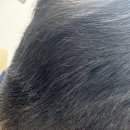 상계독일보청기 | 상담 꼼꼼하고 시설 깔끔했던 노원보청기 상계독일보청기 방문 후기