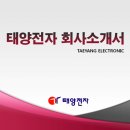 태양전자