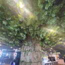 효성해링턴플레이스 201동 엄마의주방쪽 | 천안 핫플레이스 두정동 점핑몬스터!!퀄리티 최고!!시간 가는 줄 몰라요~^^