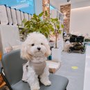 멍스월드 이미지