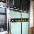 화산초등학교병설유치원 이미지