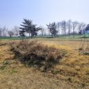 소나무공원 화장실 이미지