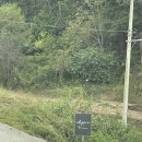 udogpia 유독피아 이미지