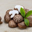 모다올의원 이미지