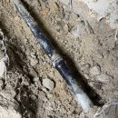 복수계룡 이미지