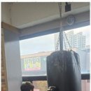 복싱스페이스 이미지