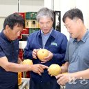 사벌농업협동조합 이미지