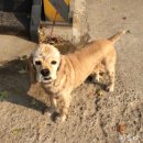 포낙보청기 청량리센터 이미지