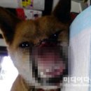 없음 이미지