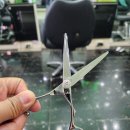 짱 머리앤