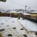 청석포레 이미지