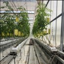 평택시, ‘농업인 안전을 위한 자동방제 로봇 시범사업’ 추진 이미지