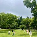 붉은오름 자연휴양림 유아숲체험원 숲체험활동