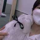 사개절펫살롱
