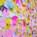 엔젤애견 이미지