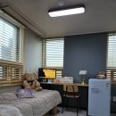 삼우고시텔 | 삼우고시텔 이곳에서의 생활, 기대 이상이었어