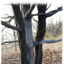 소호농장 이미지