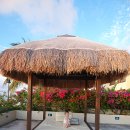 석식농장 이미지