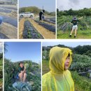 주경농장 이미지