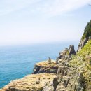 시타딘커넥트호텔 하리 부산 이미지