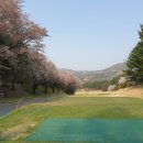 에이스타 골프 트랙맨 아카데미 이미지