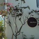 스테이모리 이미지