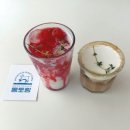 강원도 태백 여행 코스 추천｜몽토랑 산양유 라떼 산양목장 체험 카페 후기