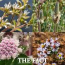 무안생태갯벌사업소 이미지