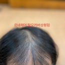 상구스타일 이미지