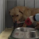 진범이네 농장 이미지