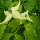 말래펜션 이미지