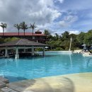 홀리데이인리조트(Holiday Inn Resort) 네이버블로그