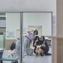 연암로 | 천안 연암대 라이즈 사업 교육과정 수료 후기 : 반려동물행동지도사 실기 2급 대비 (6주)