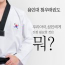 태권도덕진체육관 이미지