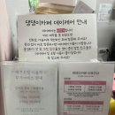 댕댕이 컷 | 주안역 애견카페 주안 갈만한 곳 아이랑 애견동반 댕댕이카페 후기