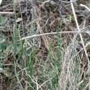 달래농장 이미지