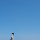 이만석군횟집 이미지