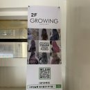 햄스터살롱 | 북수원미용실 염색맛집 그로잉살롱 북수원 SK자이점