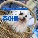 양원1번약국 네이버블로그