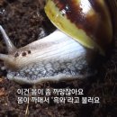 김인현 농장 이미지