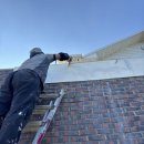 모서동물병원 이미지