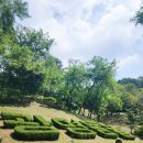[광명] 서울 근교 볼거리 / 체험 / 당일치기 여행 광명동굴 체험 후기