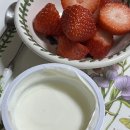 (주)집사의 하루 | [기록] 대구 고양이 카페 집사의 하루 방문후기 / 12월 쫌쫌따리 기록
