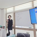 쑥쑥인셀덤
