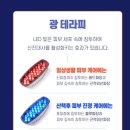 댕댕이 그루밍 이미지